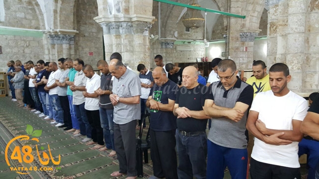 kaber ramla qder (30).jpg